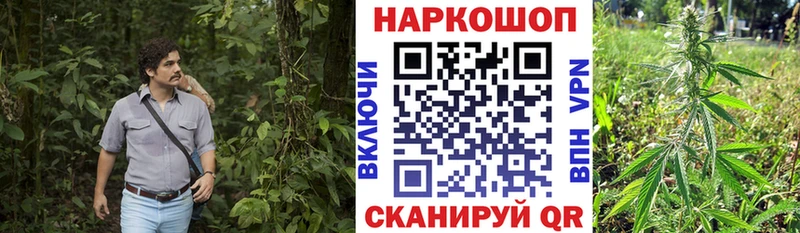 Наркошоп купить Cocaine  Alpha-PVP  ГАШ  Меф мяу мяу  Заозёрный