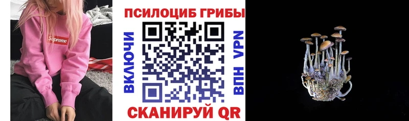 Галлюциногенные грибы Magic Shrooms  Купить закладки  Заозёрный 